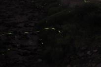 img1