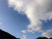 img1