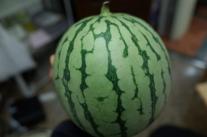 img1